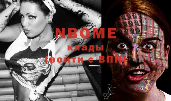 бошки Инта
