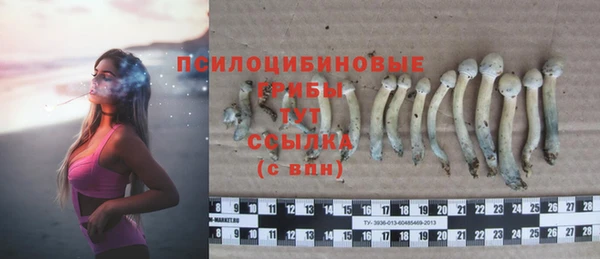 бошки Инта