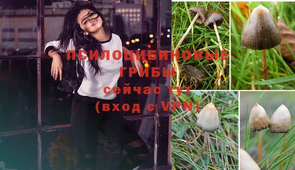 бошки Инта