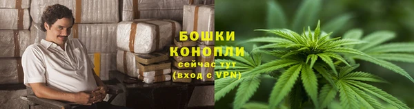 спиды Инсар