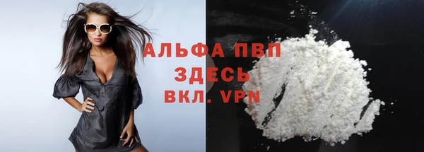 спиды Инсар