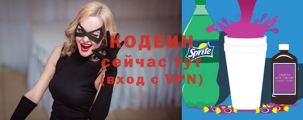 спиды Инсар