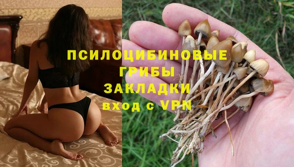 спиды Инсар