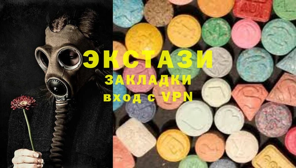 бошки Инта