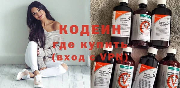 бошки Инта