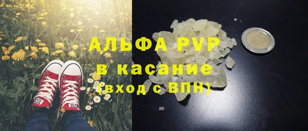 спиды Инсар