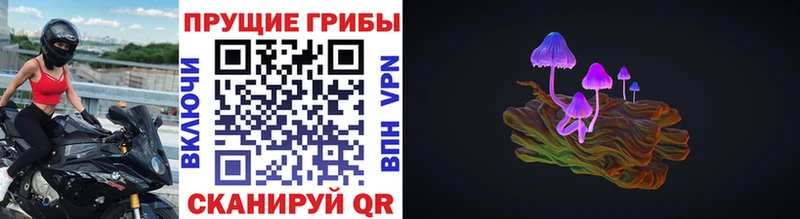 Галлюциногенные грибы GOLDEN TEACHER  Псков 