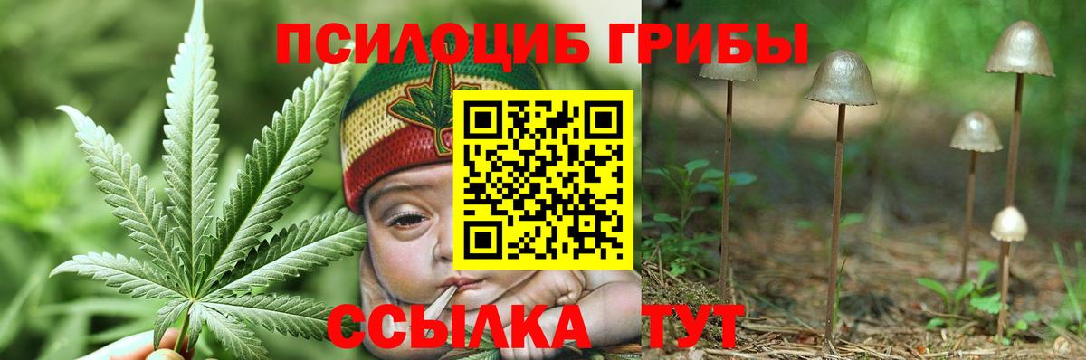 Галлюциногенные грибы MAGIC MUSHROOMS Псков
